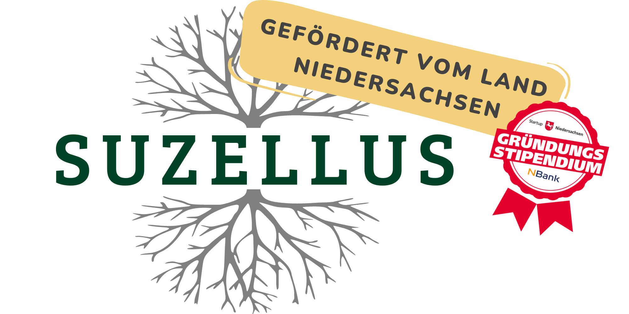 Agroforstsysteme Paulownia | Suzellus